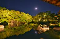 月夜の庭園の写真