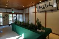 雑草いけばな展展示の様子