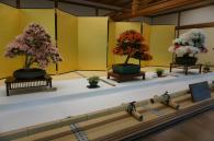 さつき盆栽の席飾りの写真