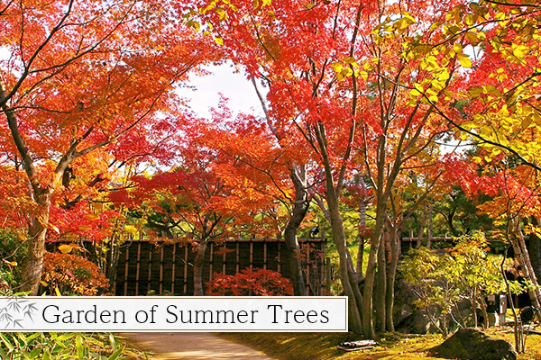 Garden of Summer Trees