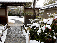 Tea ceremony garden