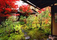 Inner teahouse garden