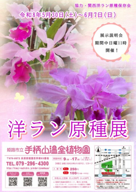 R8洋ラン原種展ポスター