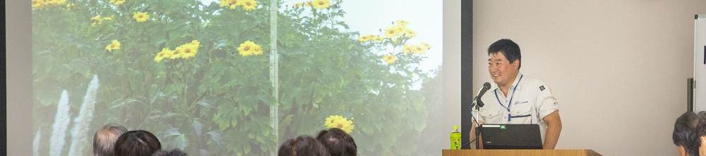 市花さぎ草栽培展イメージ画像