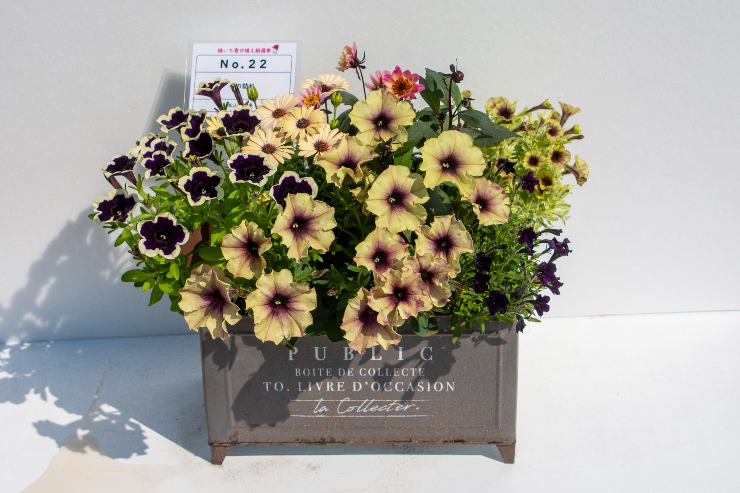51寄せ植え2位本郷