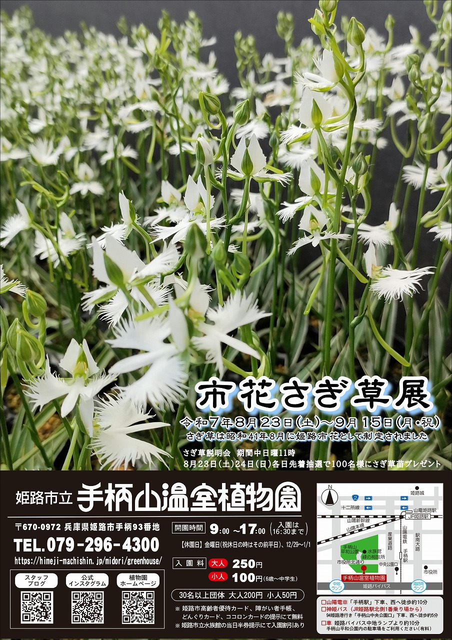 市花さぎ草展ポスター