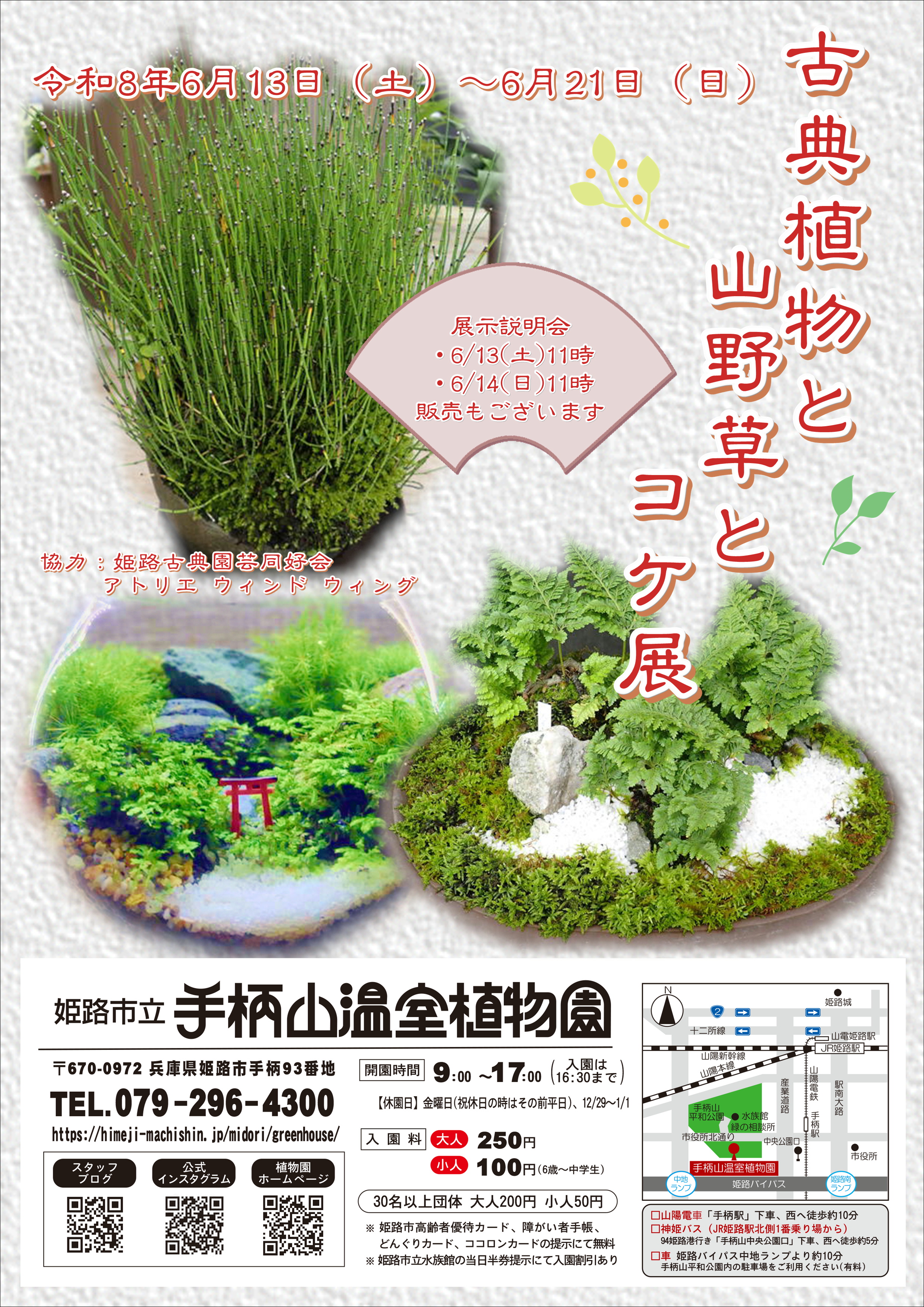 R8古典植物と山野草とコケ展ポスター
