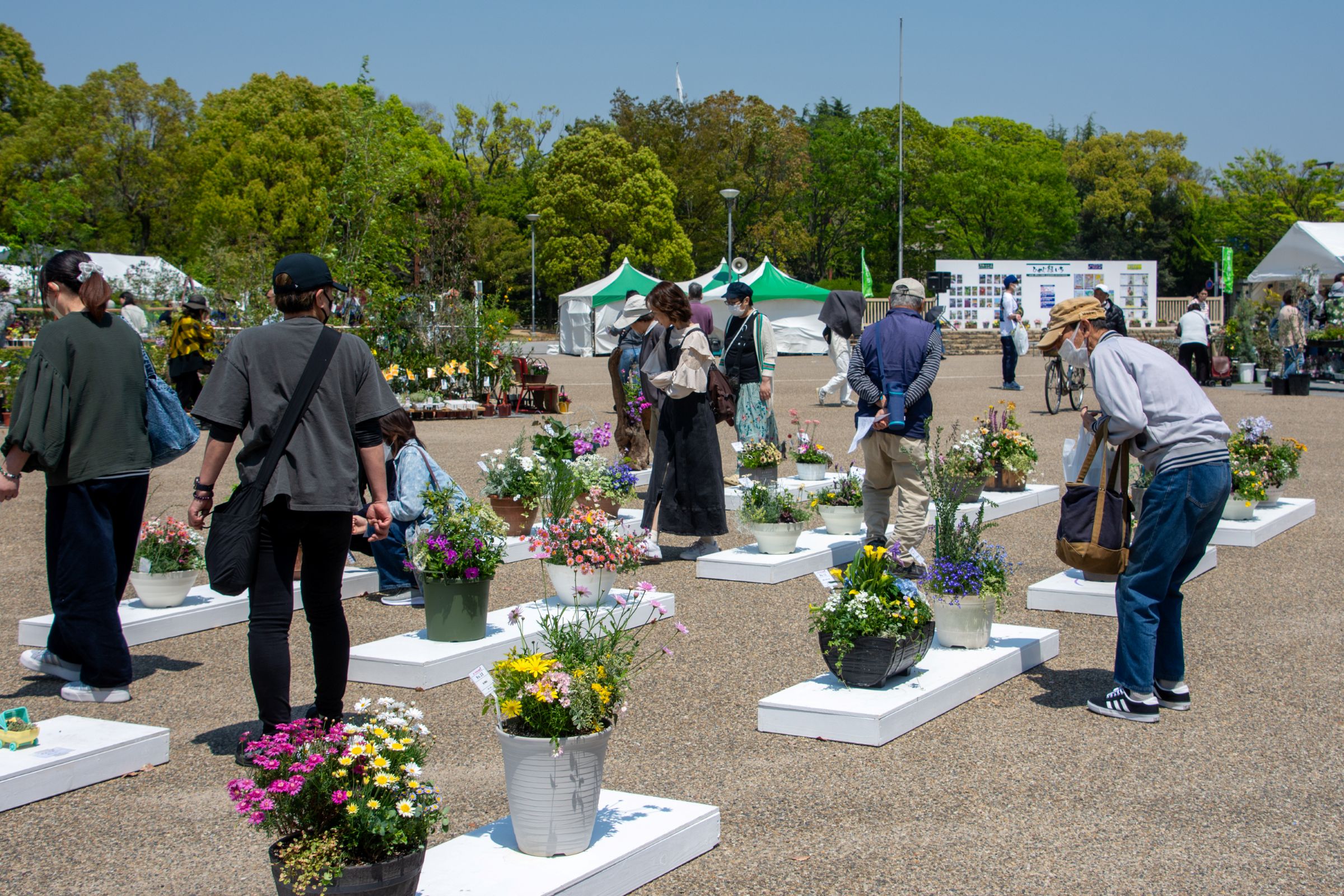 寄せ植え展示