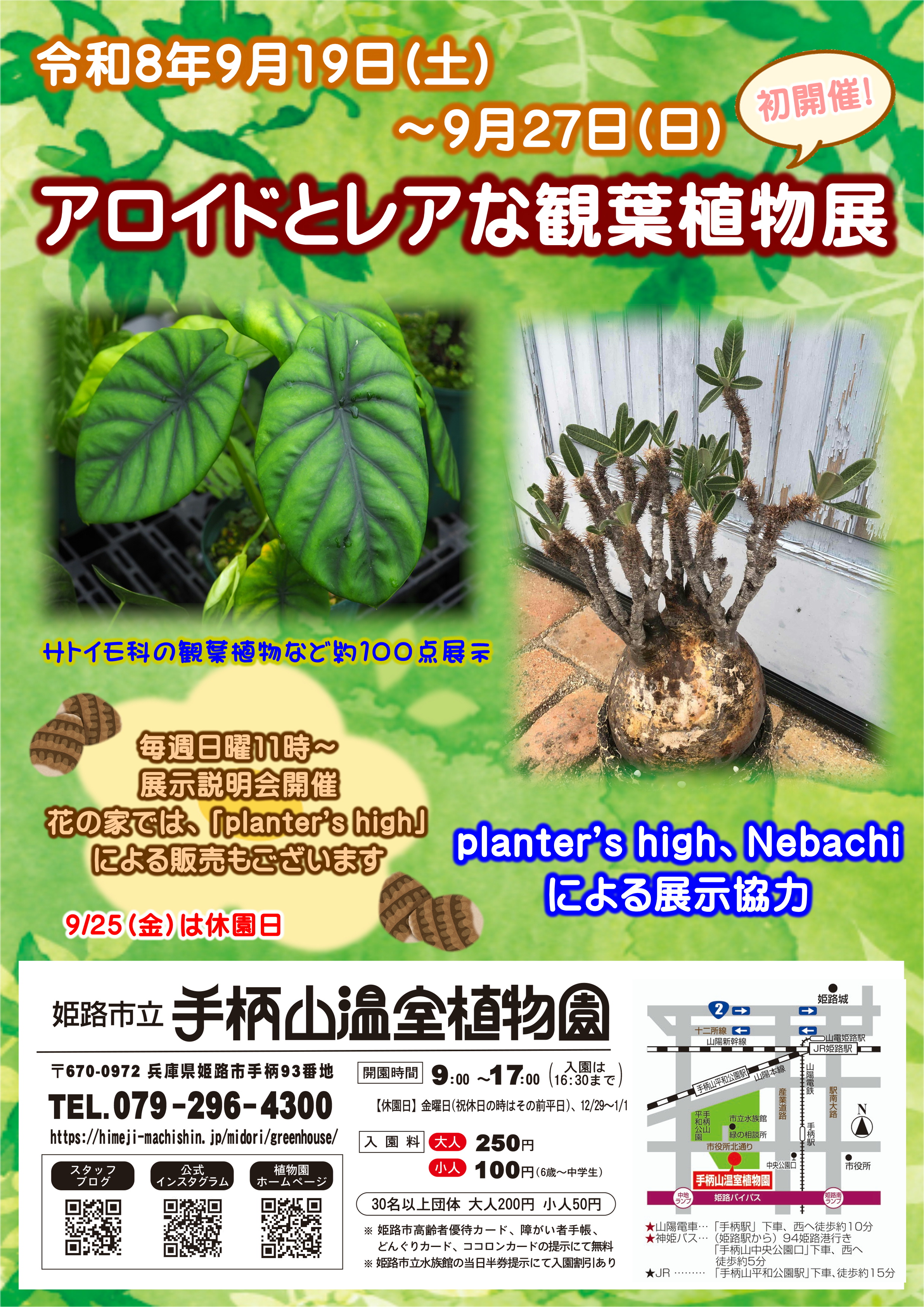 アロイドとレアな観葉植物展ポスター