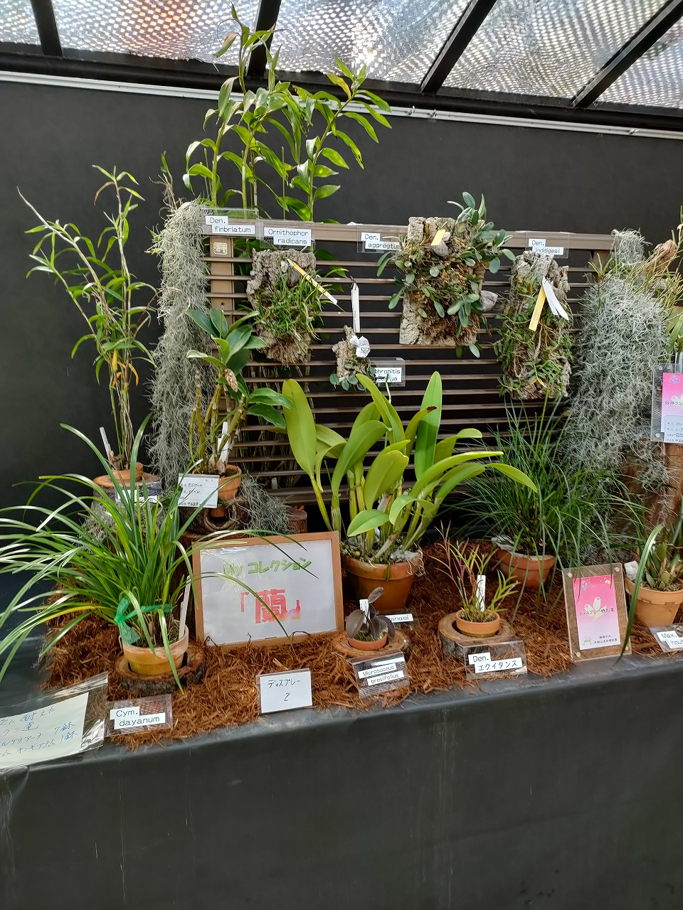 昨年の展示