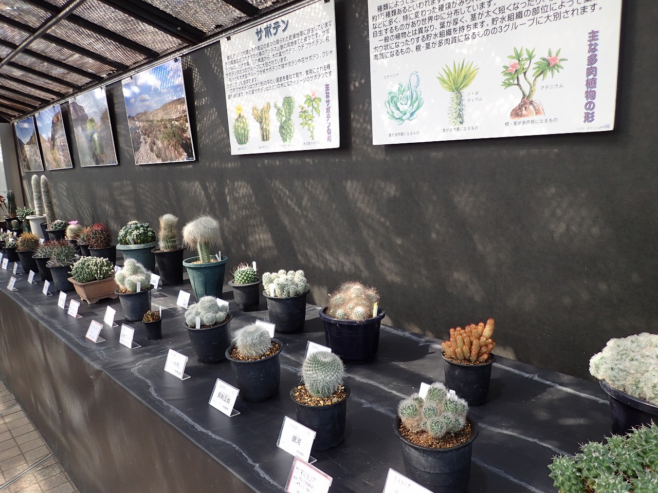昨年の展示室