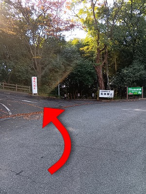 12月1日一部通行止め