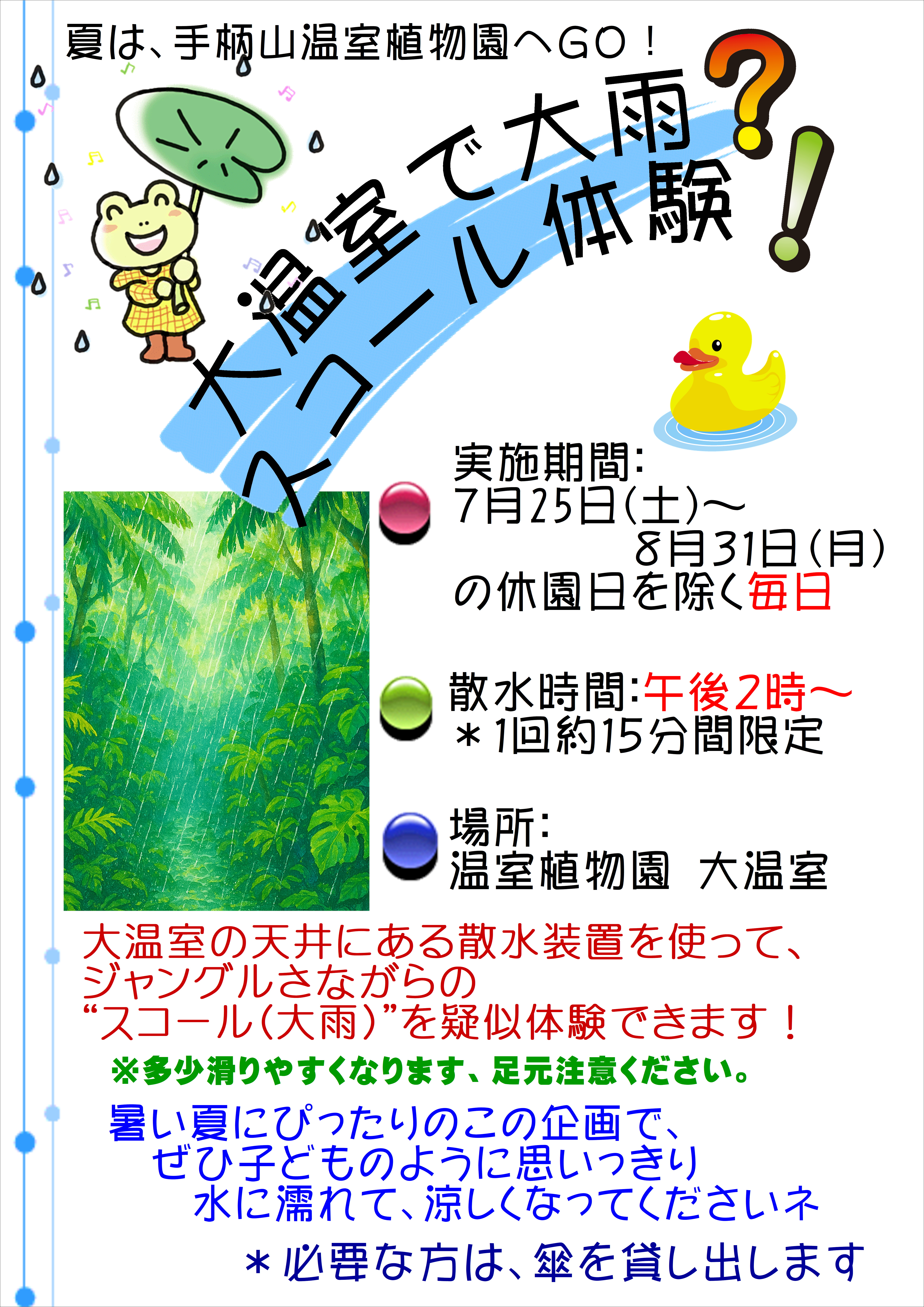 スコール体験2026告知