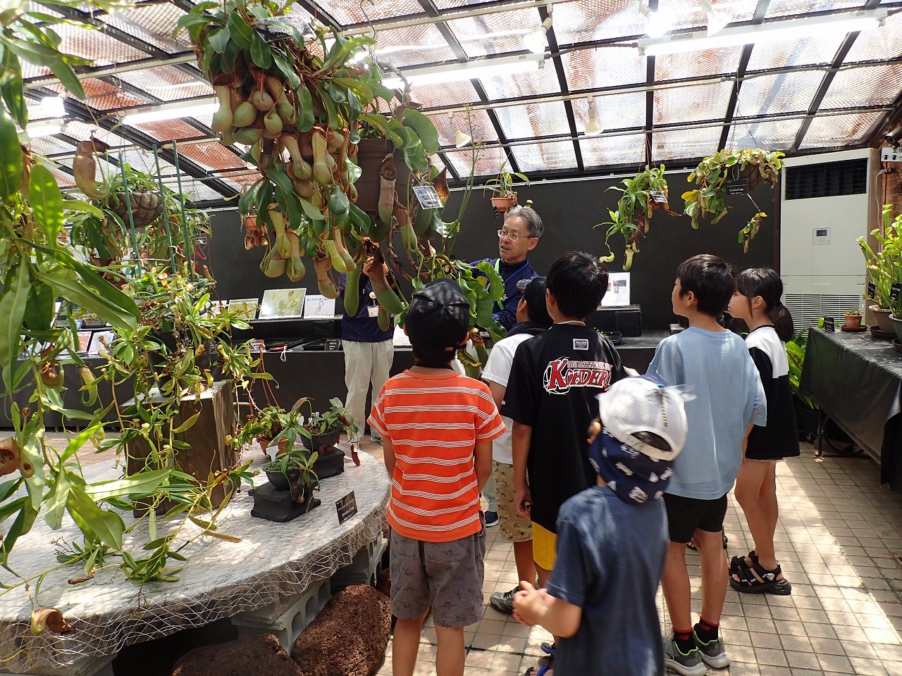 食虫植物観察会2025年度の様子(2)