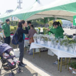 緑化キャンペーン・記念樹配布画像