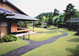 Tea ceremony garden